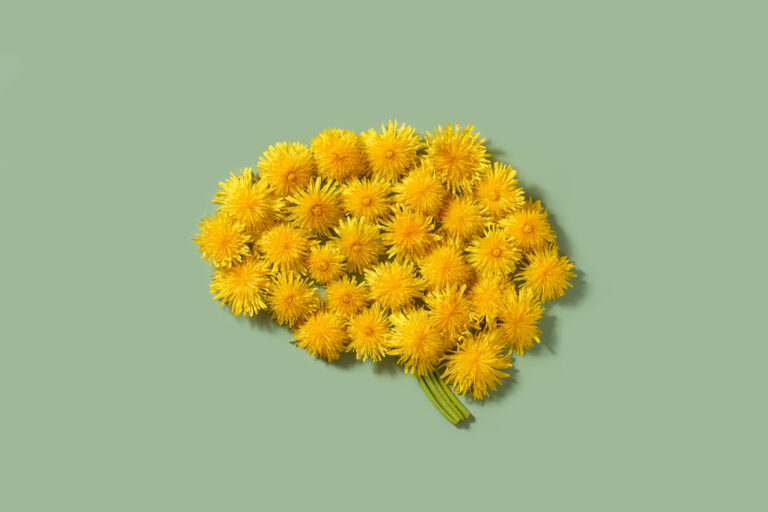 Neurowissenschaftliches_Prinzip_Kohärenz_Gerald_Hüther